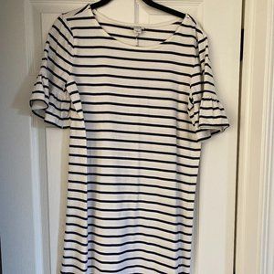 J Crew Cotton Shift Dress